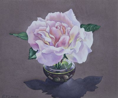 Ritratto di rosa da Christopher Ryland